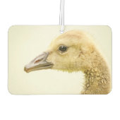 Canadese gans (Gosling) Luchtverfrisser (Achterkant)