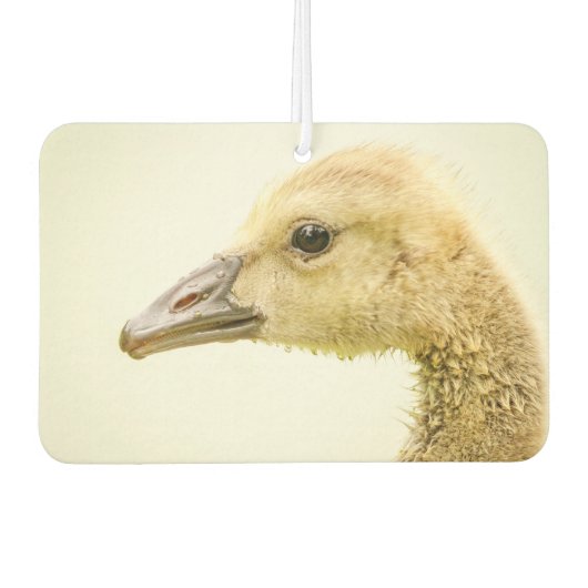 Canadese gans (Gosling) Luchtverfrisser (Voorkant)