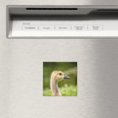 Canadese gans (Gosling) Magneet (Insitu (Vaatwasser))