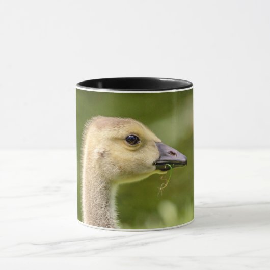 Canadese gans (Gosling) Mok (Midden)