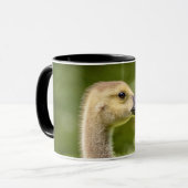 Canadese gans (Gosling) Mok (Voorkant links)
