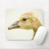 Canadese gans (Gosling) Muismat (Met muis)