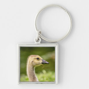 Canadese gans (Gosling) Sleutelhanger