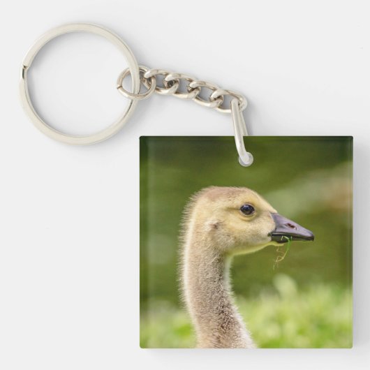Canadese gans (Gosling) Sleutelhanger (Voorkant)