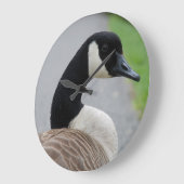 Canadese gans grote klok (Hoek)