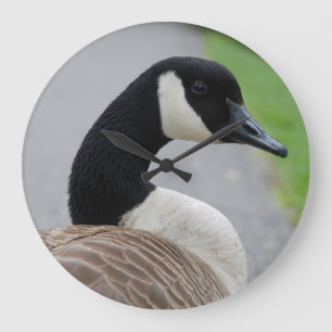 Canadese gans grote klok