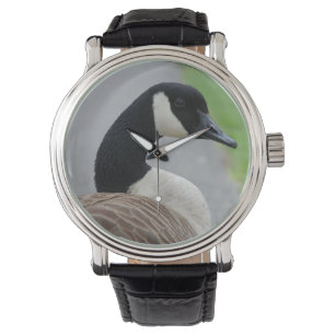Canadese gans horloge