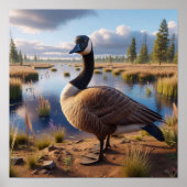 Canadese gans in rustige wetlands poster (Voorkant)