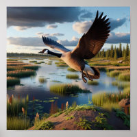 Canadese gans in rustige wetlands