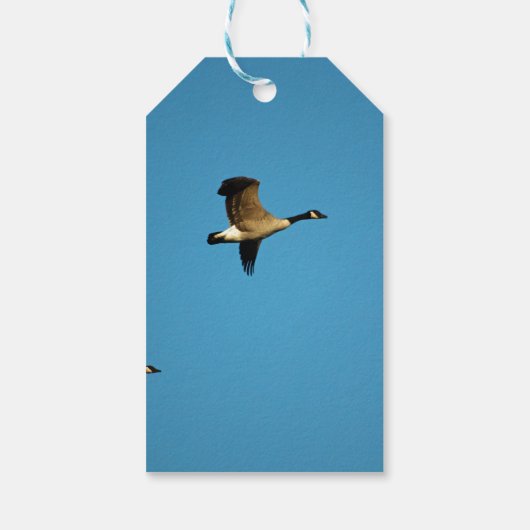 Canadese gans in vlucht cadeaulabel (Achterkant)