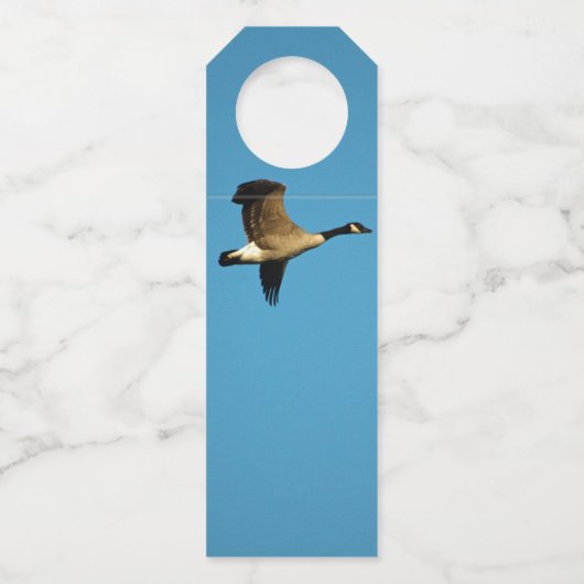 Canadese gans in vlucht flessenhanger (Achterkant)