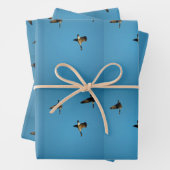 Canadese gans in vlucht inpakpapier vel (In situ)