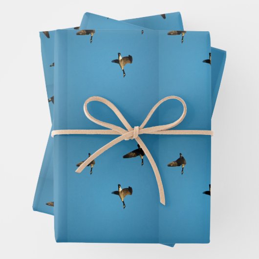 Canadese gans in vlucht inpakpapier vel (In situ)