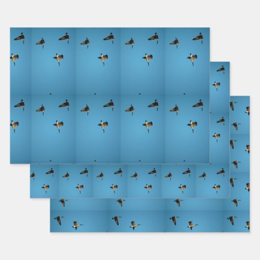 Canadese gans in vlucht inpakpapier vel (Set)