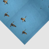 Canadese gans in vlucht tissuepapier (Detail)