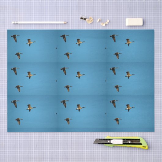 Canadese gans in vlucht tissuepapier (Craft)