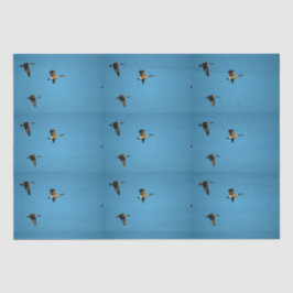 Canadese gans in vlucht tissuepapier