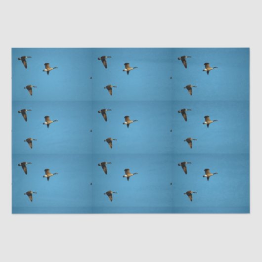 Canadese gans in vlucht tissuepapier (Voorkant)