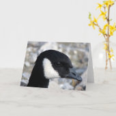 Canadese gans kaart (Gele Bloem)