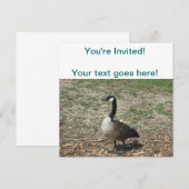 Canadese gans kaart (Voorkant / Achterkant)