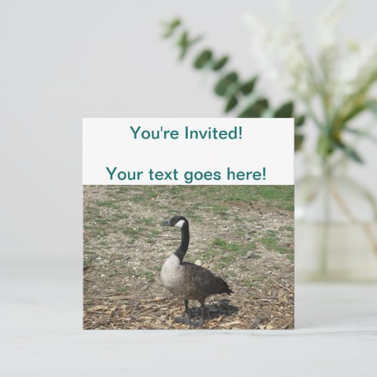 Canadese gans kaart (Staand voorkant)