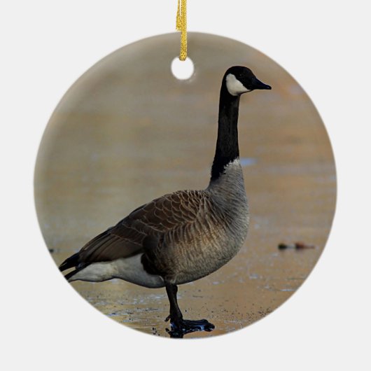 Canadese gans keramisch ornament (Achterkant)