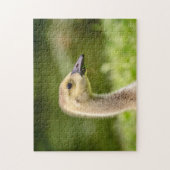 Canadese gans (Kuiken) Legpuzzel (Verticaal)