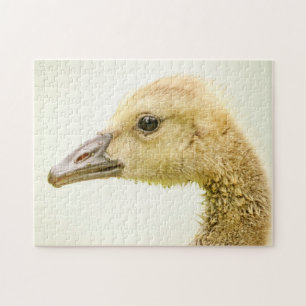 Canadese gans (Kuiken) Legpuzzel