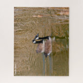 Canadese gans legpuzzel (Verticaal)