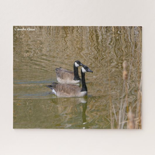 Canadese gans legpuzzel (Horizontaal)