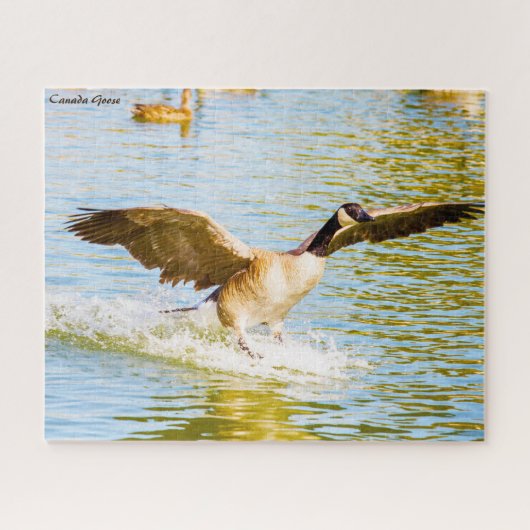 Canadese gans legpuzzel (Horizontaal)