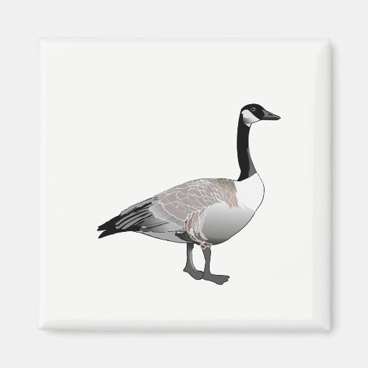 Canadese gans magneet (Voorkant)