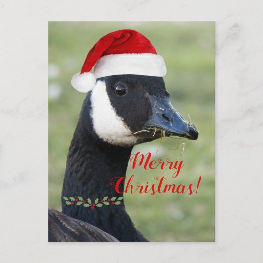 Canadese Gans met Rode Kerstman Hoed Feestdagenkaart (Voorkant)