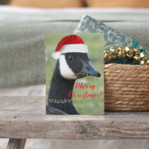 Canadese gans met rode kerstmuts feestdagenkaart
