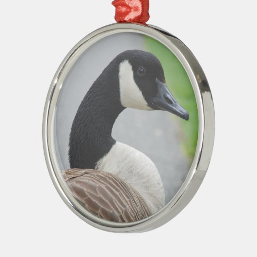 Canadese gans metalen ornament (Links)