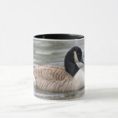 Canadese gans mok (Midden)