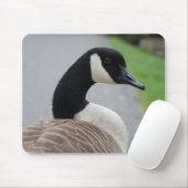 Canadese gans muismat (Met muis)