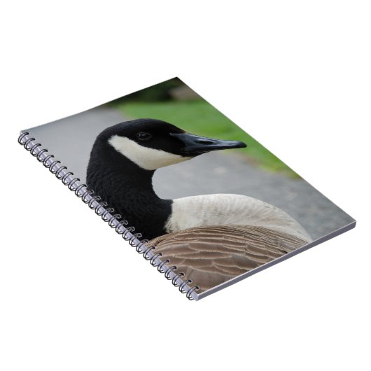 Canadese gans notitieboek (Rechterzijde)