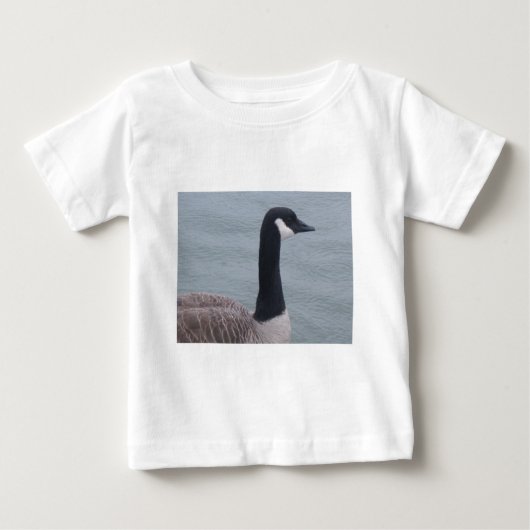 Canadese gans op een meer (Voorkant)