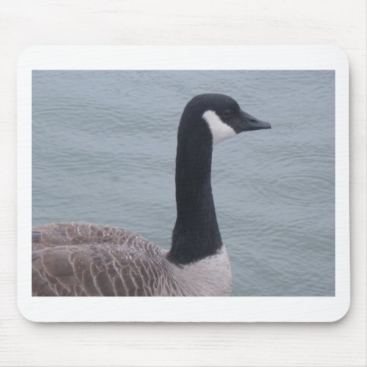 Canadese gans op een meer muismat (Voorkant)