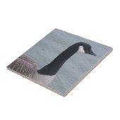 Canadese gans op een meer tegeltje (Zijkant)
