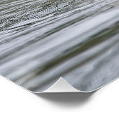 Canadese gans perfect poster (Hoek)