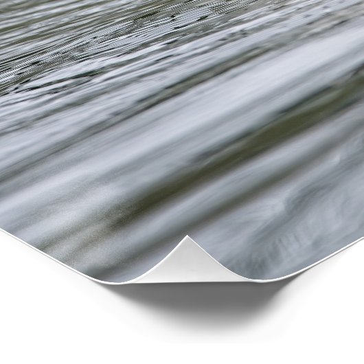 Canadese gans perfect poster (Hoek)