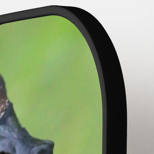 Canadese gans pickleball paddle (Links Detail)