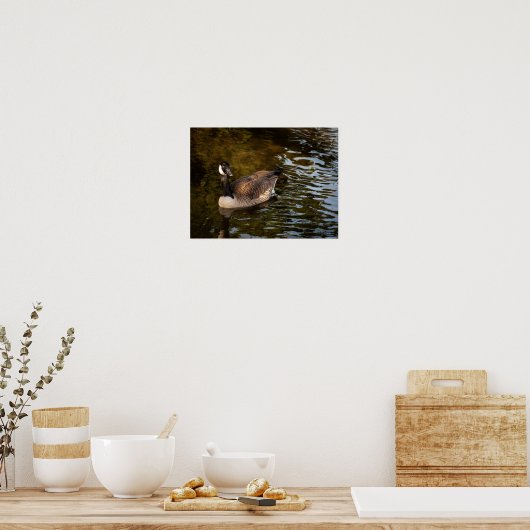 Canadese gans poster (Keuken)