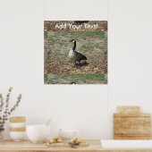 Canadese gans poster (Keuken)