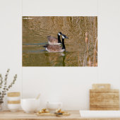 Canadese gans poster (Keuken)