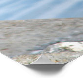 Canadese gans poster (Hoek)