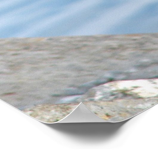 Canadese gans poster (Hoek)