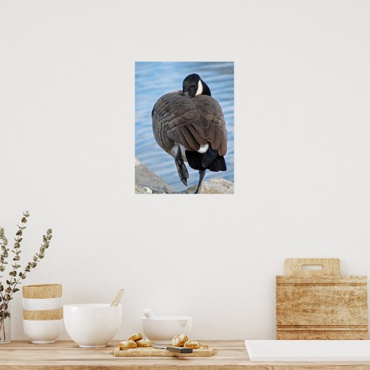 Canadese gans poster (Keuken)